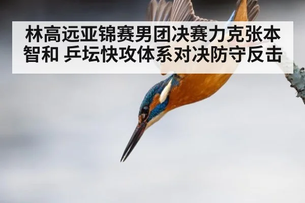 林高远亚锦赛男团决赛力克张本智和 乒坛快攻体系对决防守反击