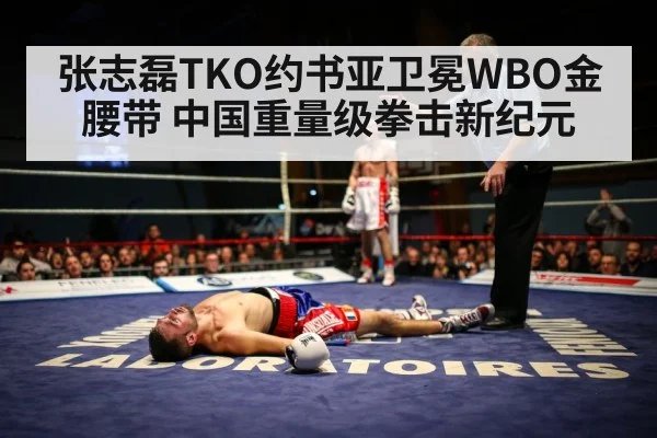 heavyweight boxing knockout